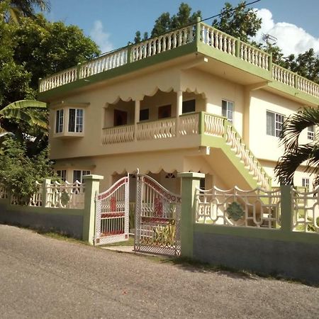Fairy Hill Palms Apartment Port Antonio Luaran gambar