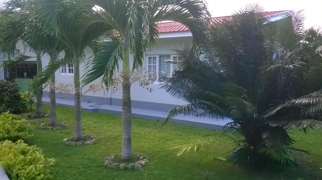 Fairy Hill Palms Apartment Port Antonio Luaran gambar