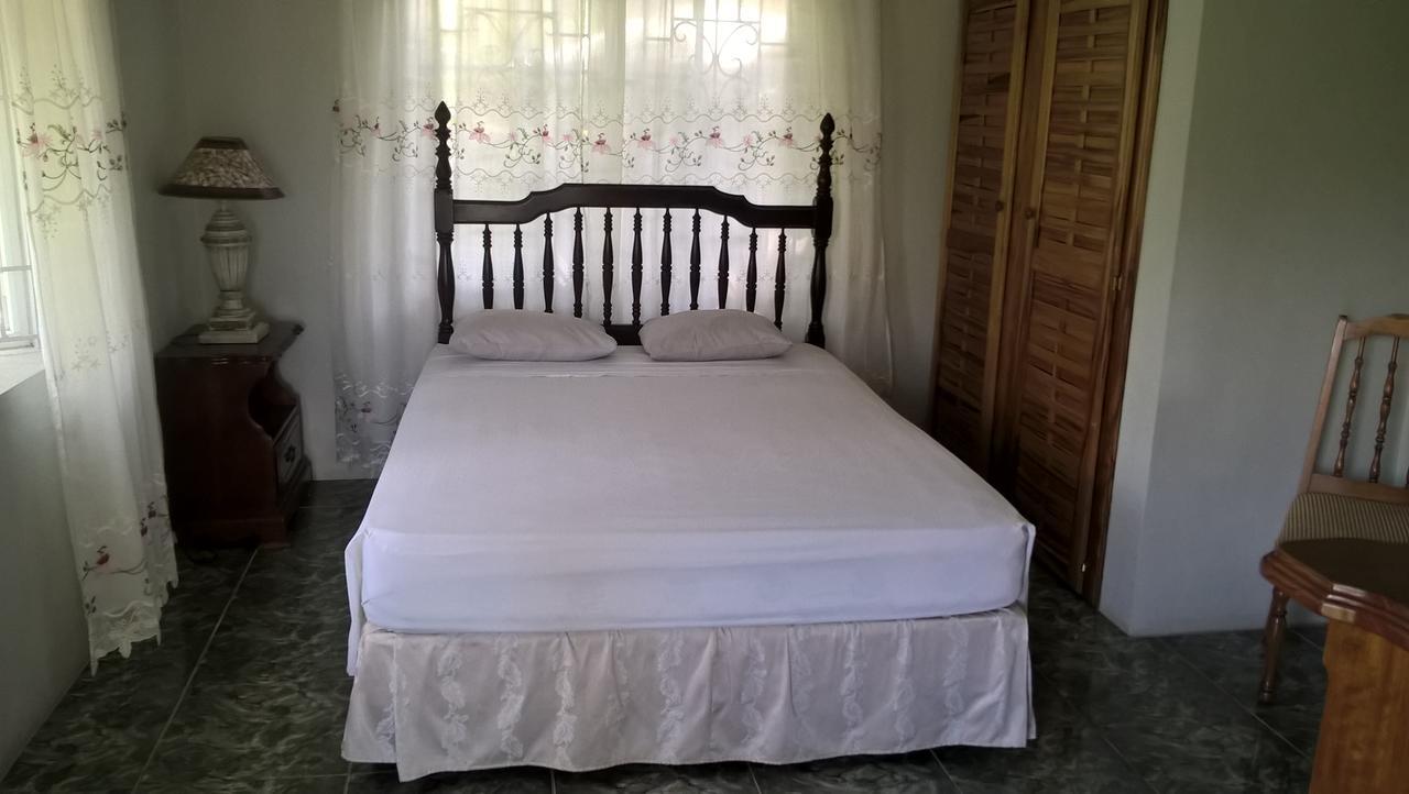 Fairy Hill Palms Apartment Port Antonio Luaran gambar